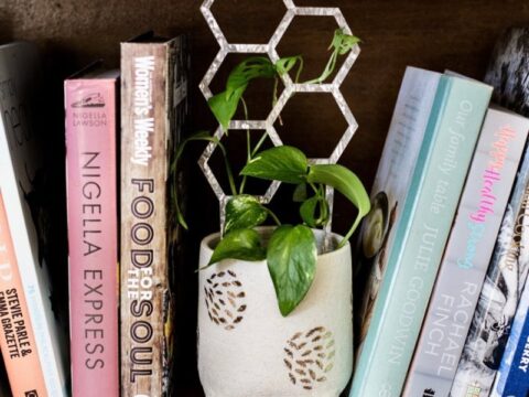 Laser Cut Indoor Plant Trellis Mini Plant Support Laser Cut Indoor Plant Trellis Mini Plant Support